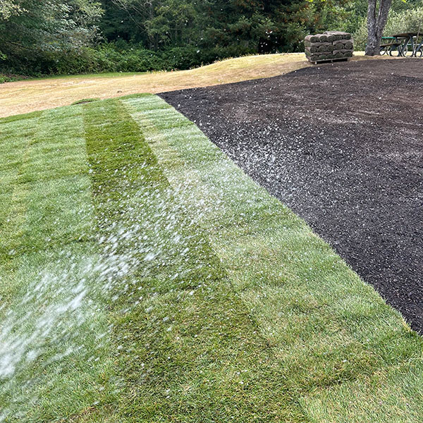 New lawn installation